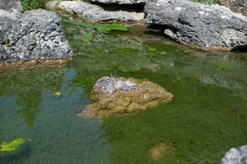 Stone in a small lake