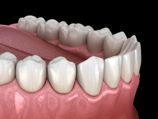 Mandibular human gum and teeth. Medically accurate tooth 3D illustration