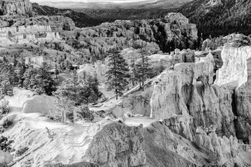 beautiful landscape in Bryce Canyon with magnificent Stone formation