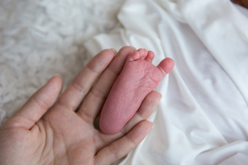 the leg of the newborn in the mother's hand. the leg of a newborn baby. little foot. the leg between the fingers of the hand