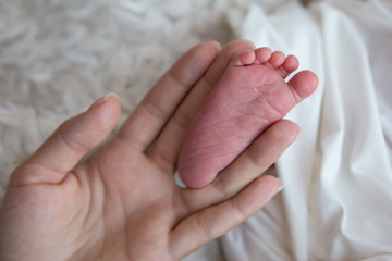 the leg of the newborn in the mother's hand. the leg of a newborn baby. little foot. the leg between the fingers of the hand