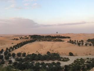 砂漠リゾートの夕暮れ