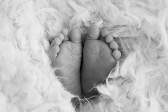 little legs black & white photo