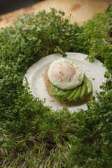 poached egg on toast 