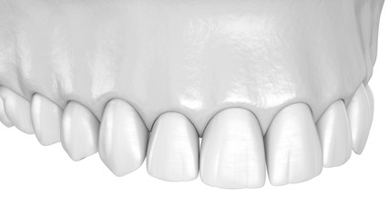 Fototapeta na wymiar Maxillary human gum and teeth. Medically accurate tooth 3D illustration