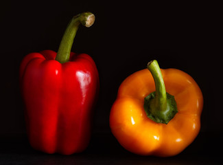 Two peppers yellow and red. low key