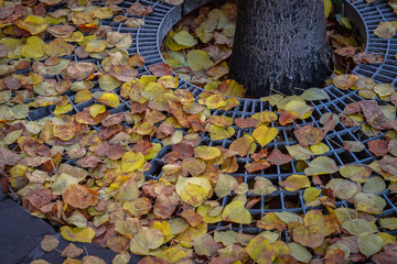 Colmar, Alsace, France