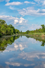 Typical landscape at swamp area of Imperial Pond (Carska bara), large natural habitat for birds and other animals from Serbia