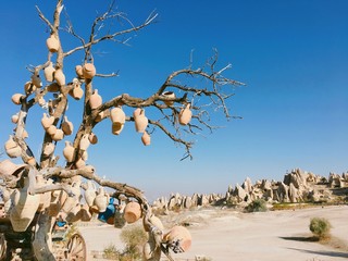 Cappadocia