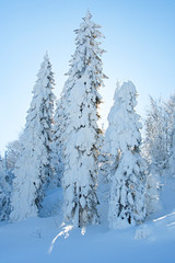 fantastic winter landscape