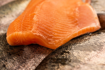 Salmon fish close up