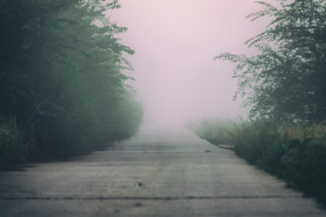 Fototapeta na wymiar Mystical fog on a country road
