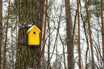 Birdhouse in winter. The snow on the birdhouse. Place for your text.