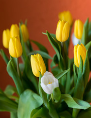 Bouquet of yellow and white tulips. Easter bouquet. Spring flowers.
