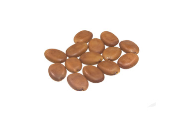 plant seeds isolated on white background