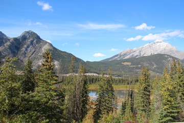 Looking Out On The Landscape, Banff National Park, Alberta