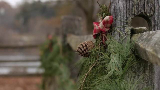 Close up split rail fence christmas holly