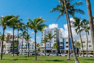 Miami Beach Popular Street