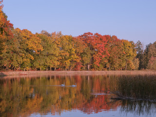 Jesień nad jeziorem.