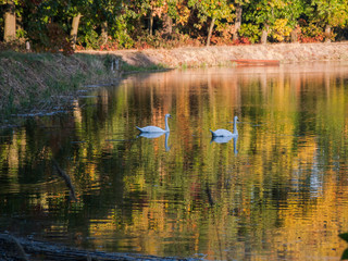 Jesień nad jeziorem.