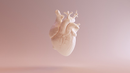 Flesh Colored Anatomical Heart 3d illustration 3d render