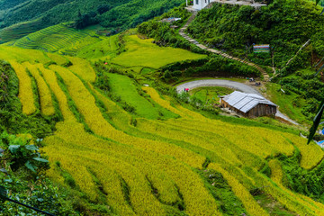 Sapa VietNam 2012