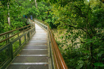 Iguazu river Iguazu falls Tropica forest Argentina