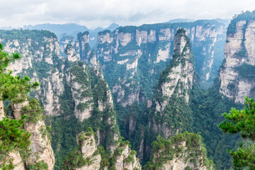 Fototapeta na wymiar Landscape of Zhangjiajie National Forest Park, UNESCO World Heritage Site, Wulingyuan, Hunan, China