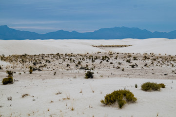 White Sands National Monument in New Mexico, USA