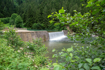 waterfall in garden