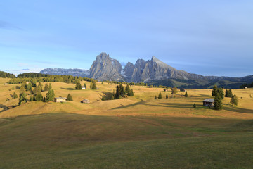 Obraz premium Alpe di Suisi - Dolomites - Italie