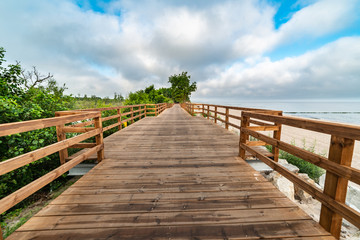 Obraz premium wooden path along the sea