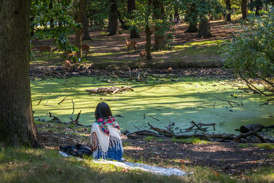 a woman watching red deers feeding in the middle of forest