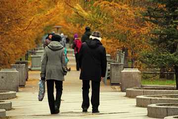 man and woman walking in the park