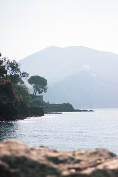 Mare