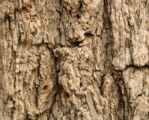 TEXTURES 4