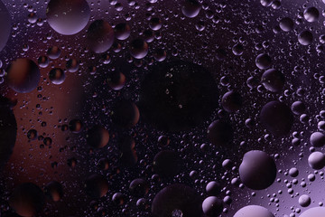 abstract photo of oil bubbles in the water on a colored background