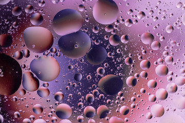 abstract photo of oil bubbles in the water on a colored background