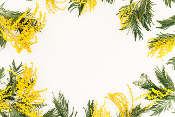 Floral frame of yellow flower branches on white background. Flowers for woman day. Flat lay, top view.