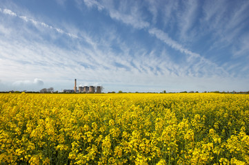 EGGBOROUGH POWER STATION WITH FIELD OF RAPE SEED YORKSHIRE ENGLAND