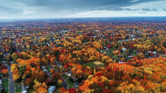 Aerial view of residential area in Autumn with colorful foliage