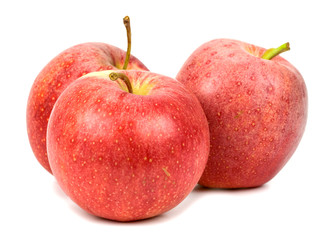 red apples on white background