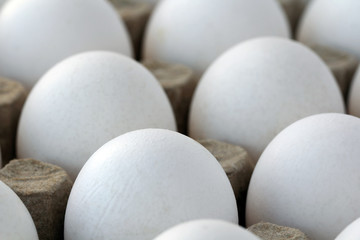 White chicken eggs in a cardboard package. Healhy food background. Bird incubator. Texture