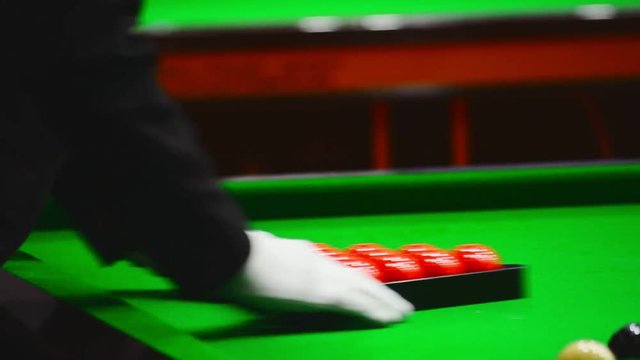 Snooker referee set up ball for new game on the snooker table.