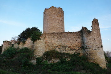 Donjon et murs d'enceinte depuis la fosse