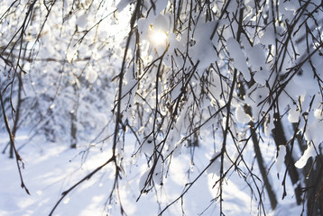 Snow-covered Park on a clear day at sunset.