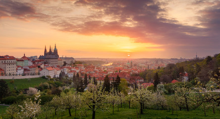 Obraz premium A beautiful spring view of Prague at sunrise from Petrin hill. Prague Castle and St. Vitus Cathedral on the left and a golden rising sun in the background.