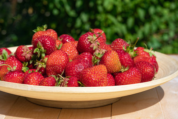 Red ripe strawberries on a wooden plate, bright summer day