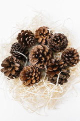 Set of pinecones on shavings.