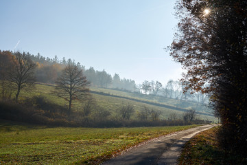 Fototapeta na wymiar Road through the fields, midday and haze